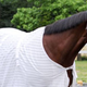 Illustration for article titled Big Brown Seen Leaving Belmont Carrying Large Sacks Of Cash